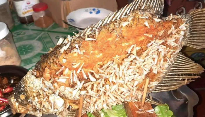 Du Lich Miet Vuon Cu Lao May Diem Quang Khai Ca Chien - Vĩnh Long