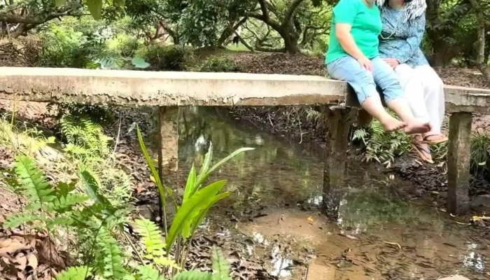 Du Lich Miet Vuon Cu Lao May Diem Quang Khai Cua Chu So Huu - Vĩnh Long