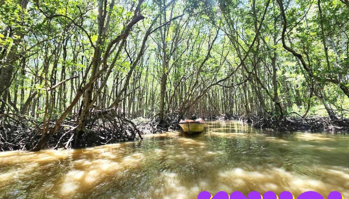 Du lịch Rừng Sác - Cần Giờ - Hồ Chí Minh