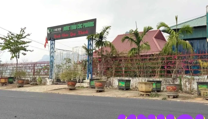 Du lịch V.i.p - Ninh Bình