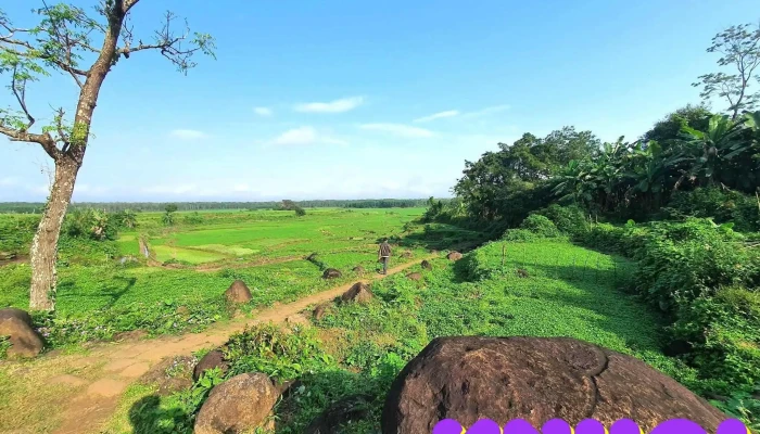 Giếng Máng - Giếng Cổ Gio An - Gio Linh