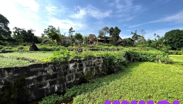 Giếng Ông - Giếng Cổ Gio An - Gio Linh
