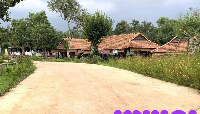 Green Farm - Láng Lon