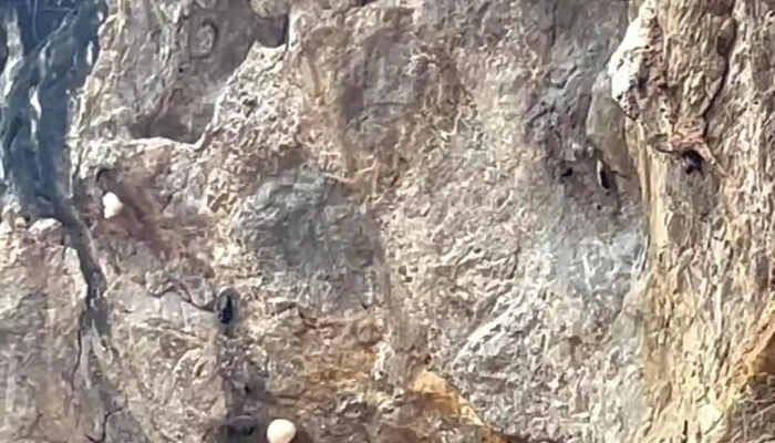 Hang Bua -  Video - Nghệ An