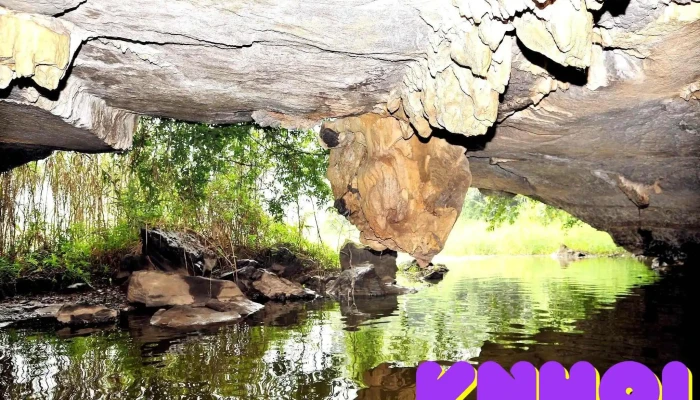 Hang But Hien Cua Chu So Huu - Ninh Bình
