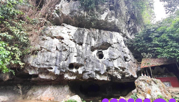 Hang Ngoc Cua Chu So Huu - Thanh Hóa