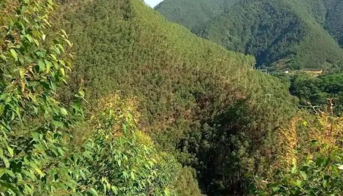 Hang Thẳm Hốc - Tuyên Quang