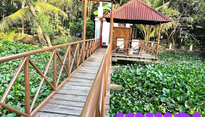 Happy Family Guesthouse ( ThuyAn Homestay ) - Vĩnh Long
