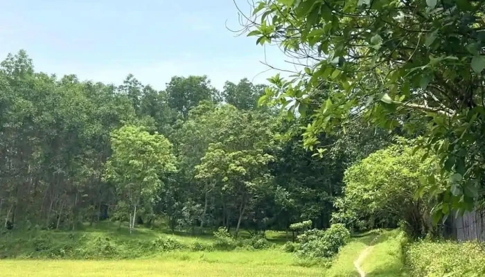 Hieu Lang   Lang Mo Hoang De Minh Mang Moi Nhat - Thành Phố Huế