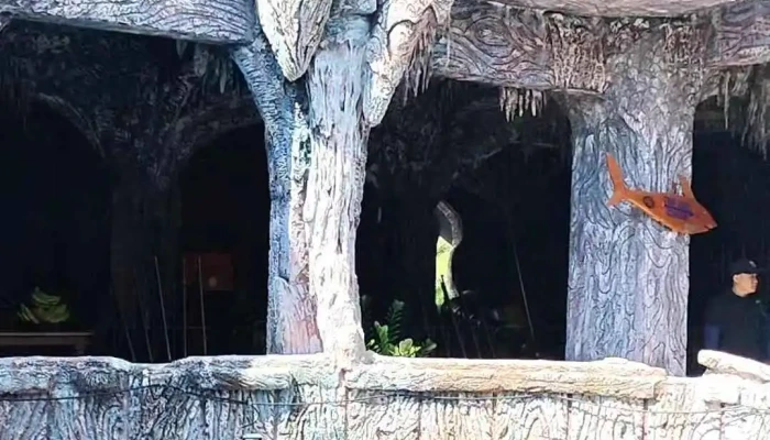 Ho Ca Tri Nguyen Aquarium On Soi Island Video - Khánh Hòa