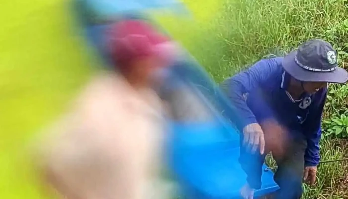 Ho Hoa Mai Vuon Quoc Gia U Minh Thuong Moi Nhat - Kiên Giang