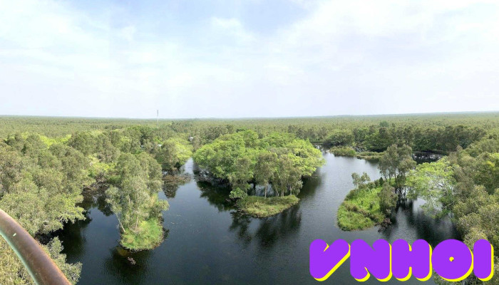 Ho Hoa Mai Vuon Quoc Gia U Minh Thuong Tat Ca - Kiên Giang