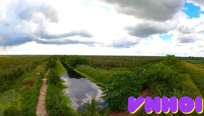 Ho Hoa Mai Vuon Quoc Gia U Minh Thuong Video - Kiên Giang