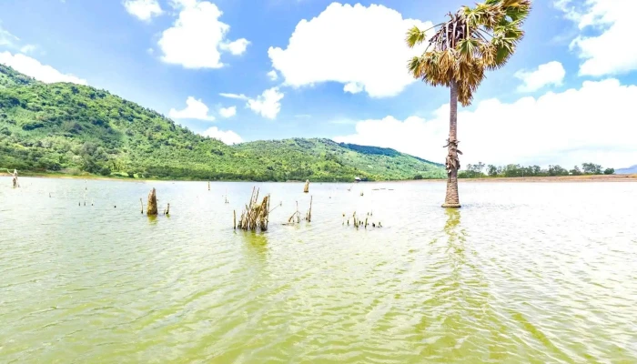 Ho O Ta Soc Che Do Xem Pho Va 360deg - An Giang