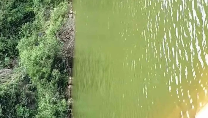 Ho Pac Mo Video - Lạng Sơn