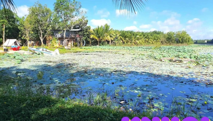 Ho Suoi Giai Binh Phuoc Cua Khach Tro - Bình Phước