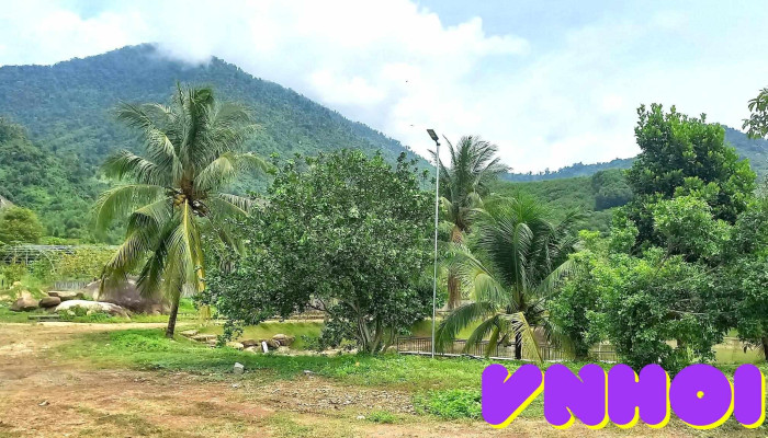 Hoa Qua Son Farm Tat Ca - Khánh Hòa