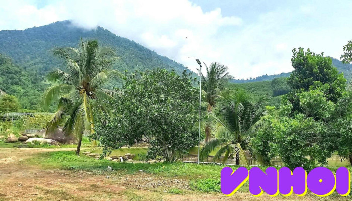 Hoa Quả Sơn Farm - Khánh Hòa