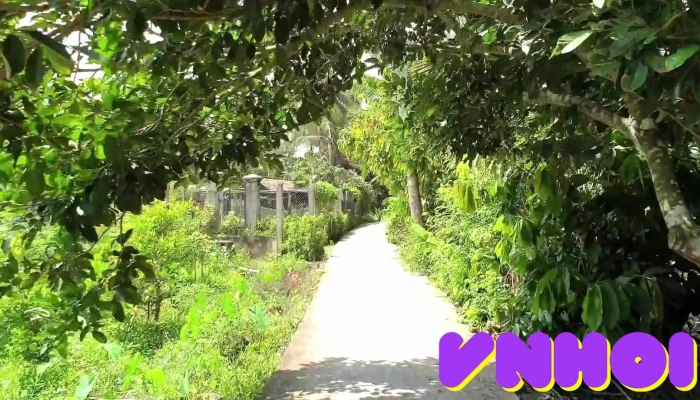 Homestay Gite Nam Hien Mekong -  Video - Bến Tre