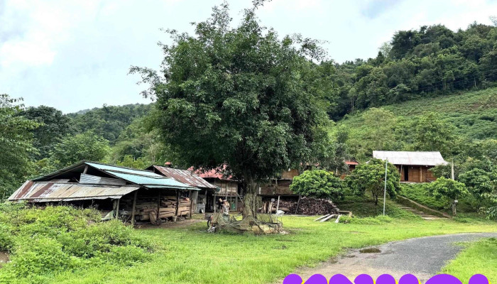 Homestay Pờ Dần Xinh - Tả Kố Khừ