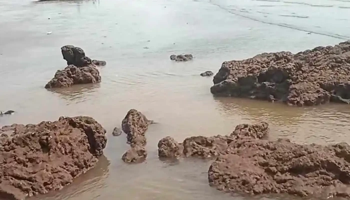 Hon Cau Video - Nghệ An