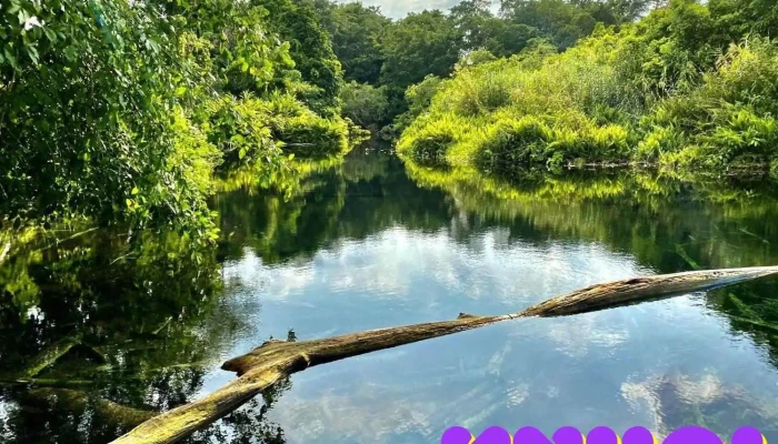 Hố Da (Cao nguyên Địa chất Đắk Nông) - Krông Nô