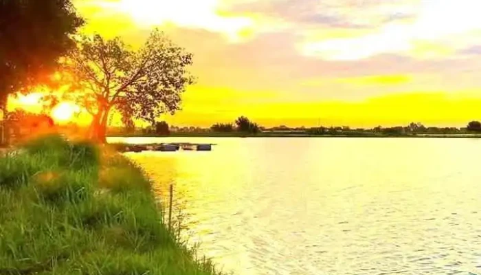 Hồ Câu Trúc Nhi - Thôn Lại