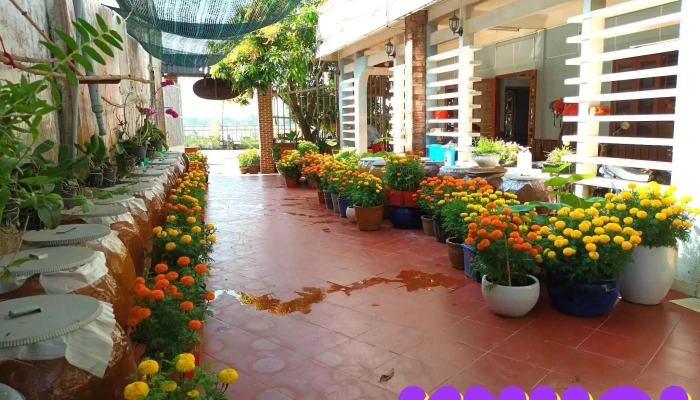 Island Homestay -  Cua Khach Tro - Tiền Giang