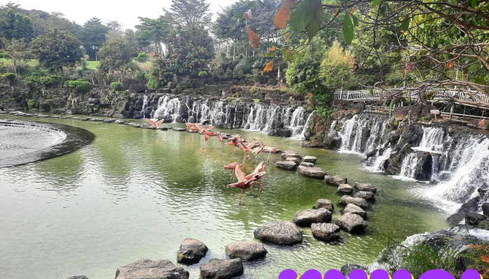 Kdl Suoi Mo   Dong Nai Tat Ca - Đồng Nai