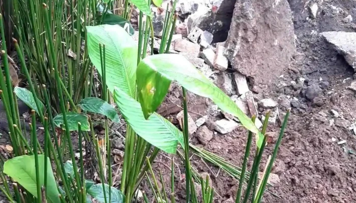 Khanh Mau Video - Ninh Bình