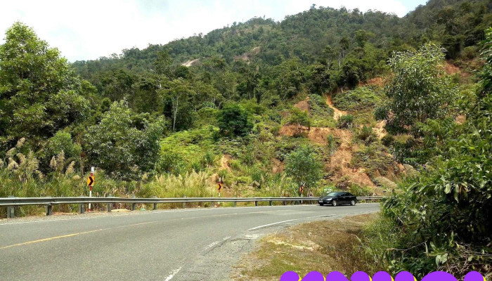 Khanh Vinh Tat Ca - Khánh Hòa