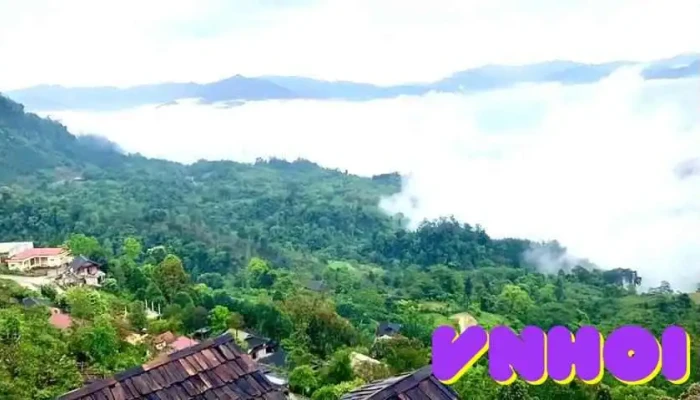 Khong Gian Van Hoa Tra Suoi Giang Cua Chu So Huu - Yên Bái