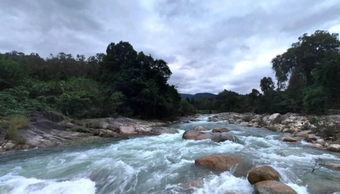 Khu Bao Ton Thien Nhien Hon Ba Che Do Xem Pho Va 360deg - Khánh Hòa