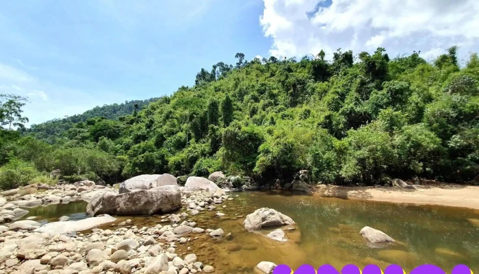 Khu Bao Ton Thien Nhien Hon Ba Kong Forest Nha Trang   Atv Zipline Rafting - Khánh Hòa