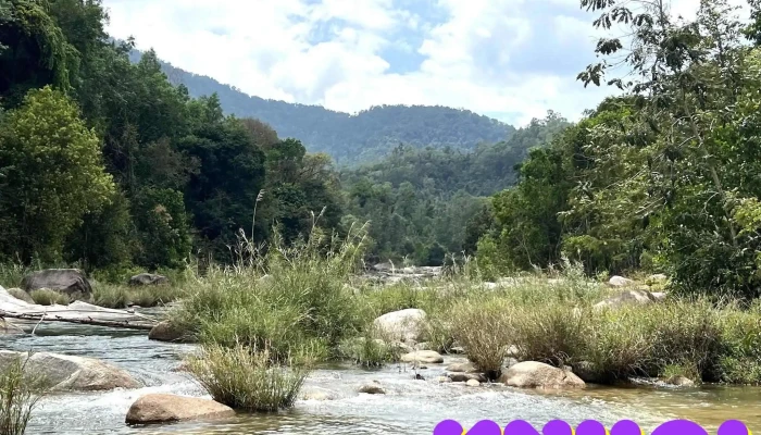 Khu Bao Ton Thien Nhien Hon Ba Suoi Da Giang - Khánh Hòa