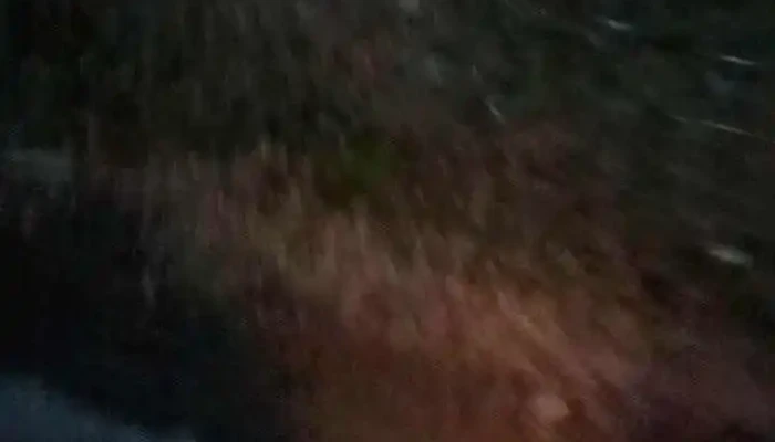 Khu Bao Ton Thien Nhien Pu Hu Moi Nhat - Thanh Hóa