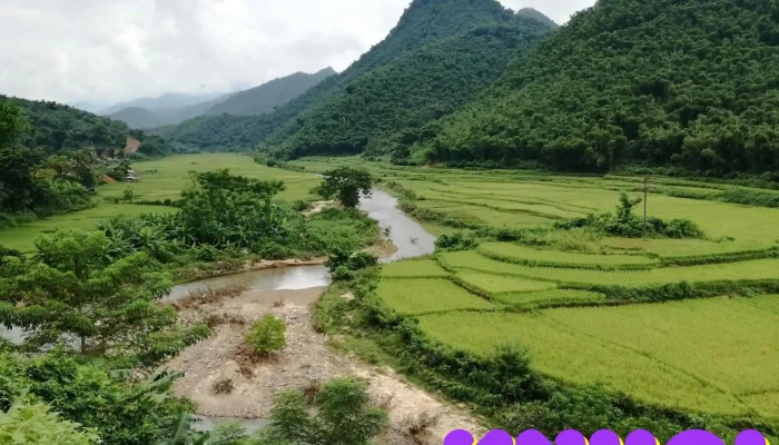 Khu Bao Ton Thien Nhien Pu Hu Nui - Thanh Hóa