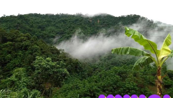 Khu Bao Ton Thien Nhien Pu Hu Tat Ca - Thanh Hóa