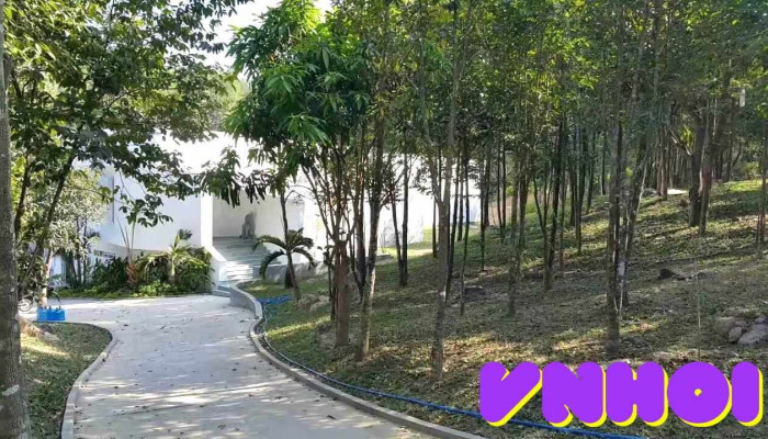 Khu Bảo tồn văn hoá trầm hương Hoàng Trầm - Khánh Hòa