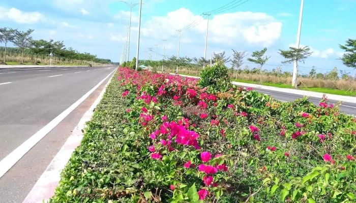 Khu công nghiệp Đất Đỏ 1 - Đất Đỏ