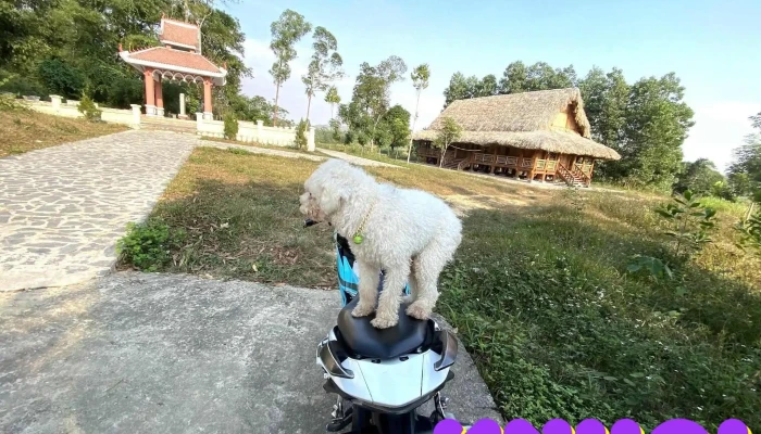 Khu Di Tich Lich Su Cach Mang Lao Tai Thon Ngoi Tat Ca - Tuyên Quang