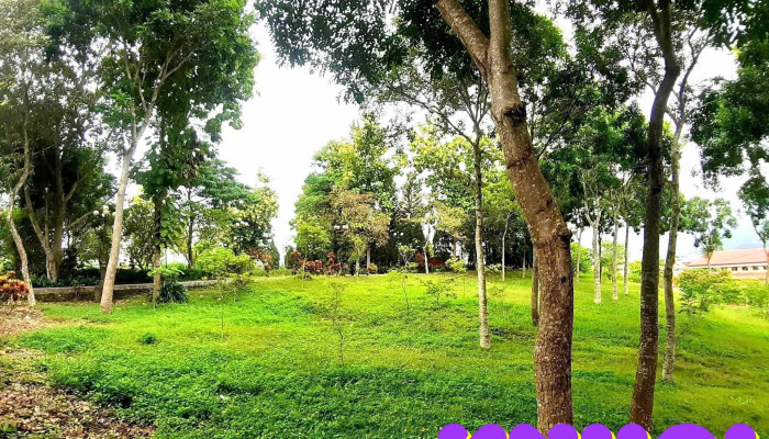 Khu Di Tich Lich Su Cang Va Don Nghia Lo Moi Nhat - Yên Bái