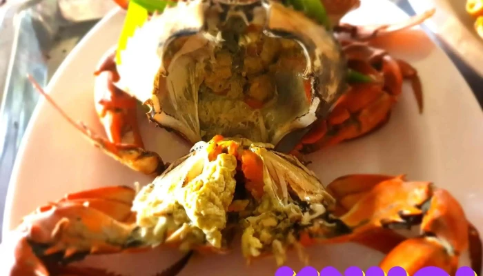 Khu Du Lich Bien Bella Phan Thu Bo Cua - Tiền Giang