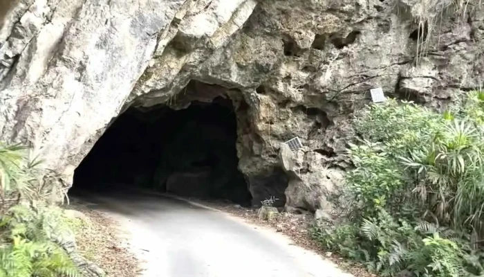 Khu Du Lich Cong Dong Viet Hai Moi Nhat - Hải Phòng