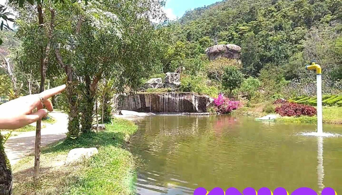 Khu Du Lich Dao Hoa Lan Video - Khánh Hòa