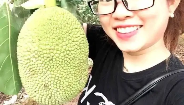 Khu Du Lich Hung Cua Chu So Huu - Bến Tre