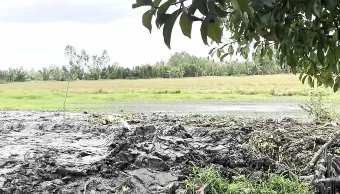 Khu Du Lich Sinh Thai Duong Xuong Video - Kiên Giang