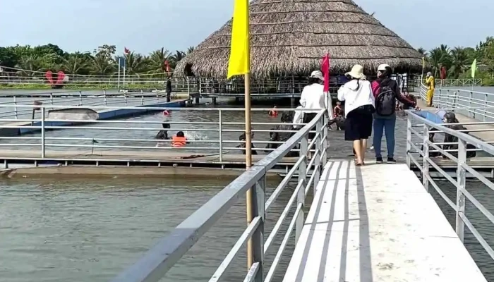 Khu Du Lich Sinh Thai Nghi Duong Sala Video - Vĩnh Long
