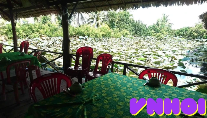Khu Du Lich Sinh Thai Tan Con Quy Bau Khong Khi - Bến Tre