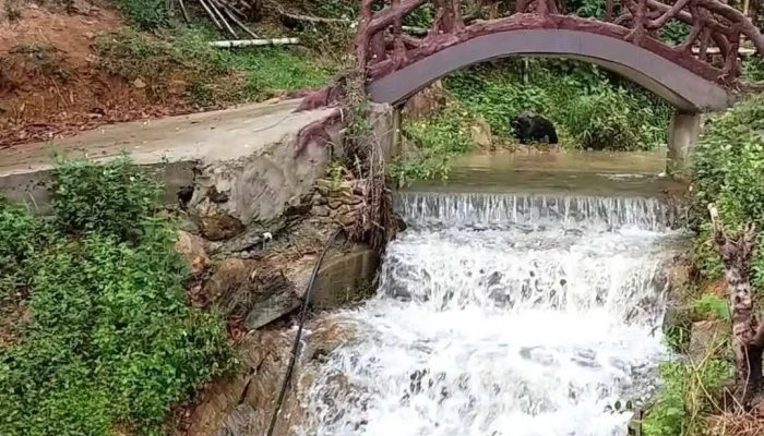 Khu Du Lich Sinh Thai Thung Pheo Cua Chu So Huu - Nghệ An